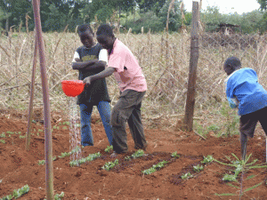 Children-watering-crops